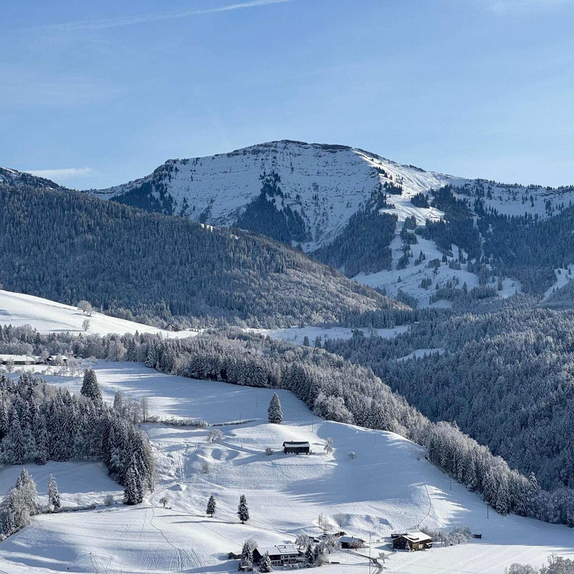 Le Bouveret - Ferienwohnungen Reinartz オーバーシュタウフェン エクステリア 写真